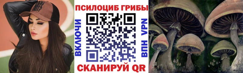 Псилоцибиновые грибы Magic Shrooms  Купить где  Иваново 