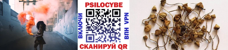 Псилоцибиновые грибы Psilocybine cubensis Иваново